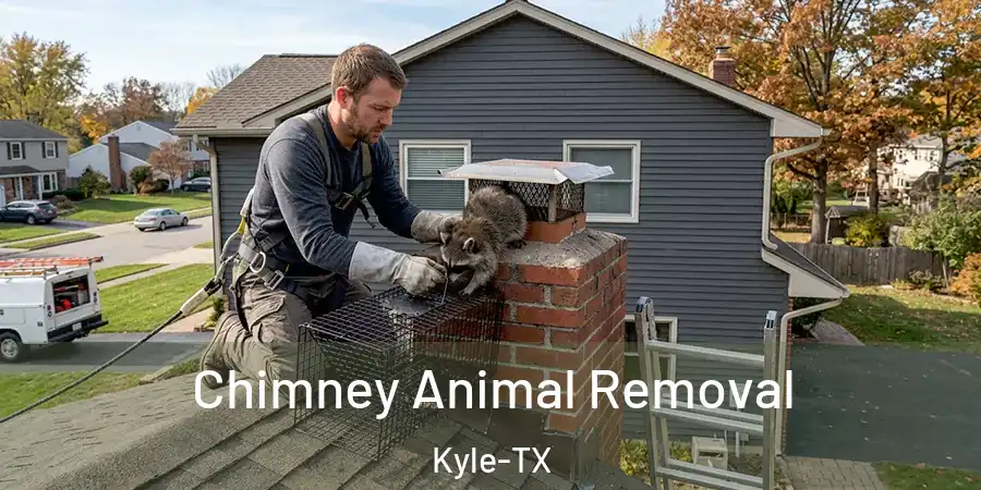  Chimney Animal Removal Kyle-TX